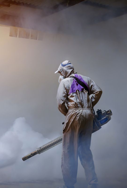 Pest Fumigation Service in Fort Myers, FL